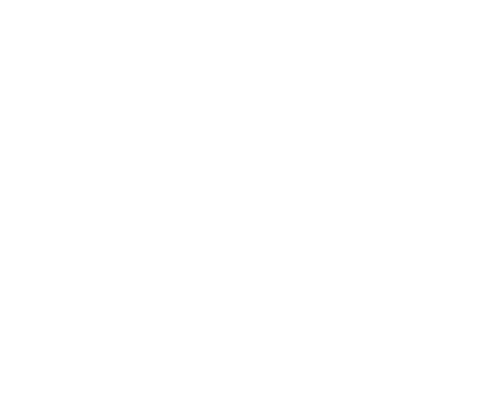 Logo FLow Emotional Peace